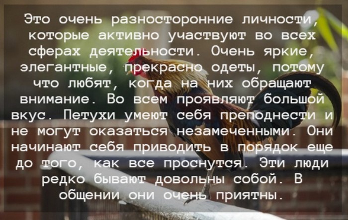 Гороскоп на 2024 год для Петуха по китайскому календарю: мужчины и женщины