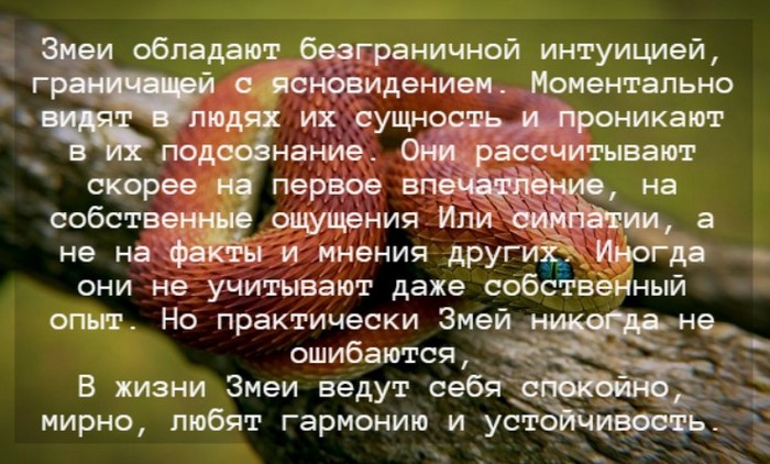 Гороскоп на 2024 год для Змеи по китайскому календарю: мужчины и женщины